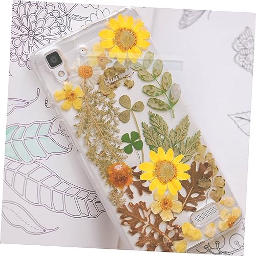 Flores prensadas naturales para manualidades 72 pcs miniatura 2