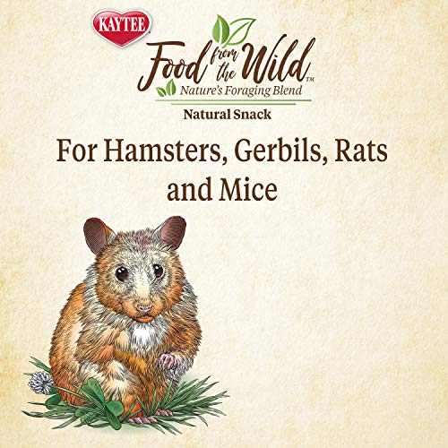 Kaytee 100540861 Food From The Wild Natural Snack For Pet Hamsters thumb #4