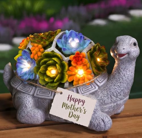 Tartaruga in giardino: un immobile che non fa "lento" andare!