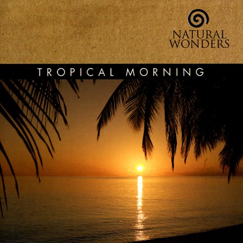 Tropical Morning [Audio CD] ARKENSTONE,DAVID