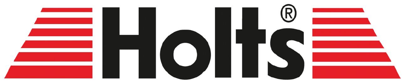 HOLTS 12 x Bremsenreiniger, 600 ml, professionelle Qualität