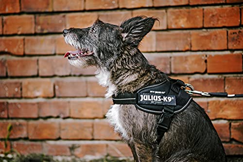Julius-K9, 16IDC-P-M, IDC Powerharness, dog harness, Size: S/Mini, Black - Image 9