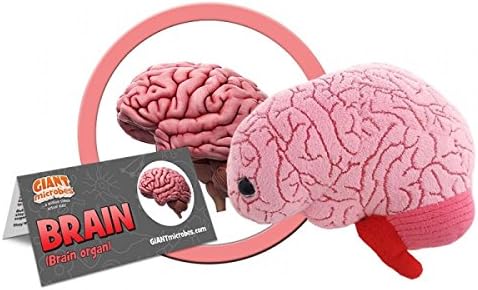 organ plushies amazon
