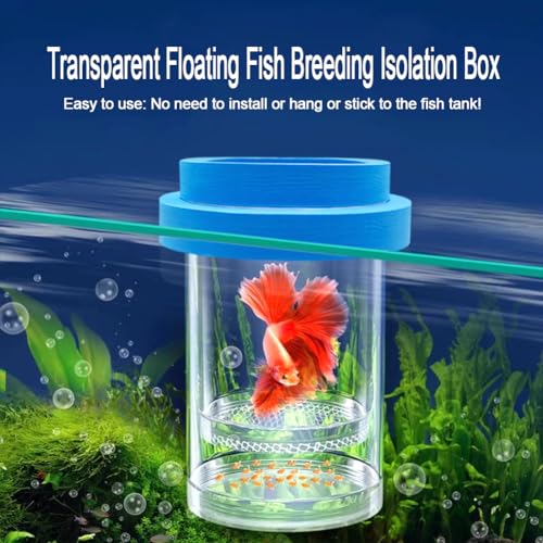 Image of Floating Fish Breeding Isolation Box for Aquarium Tank Plastic Mesh Hatchery Incubator Breeder Box for Baby Fish Betta Shrimp Clownfish Guppy (Blue, Large)