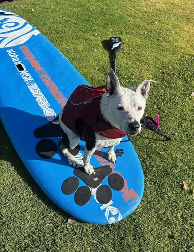 Better Surf than Sorry Pup Deck Dog Traction pad for paddleboards, Kayaks, Training - Thumbnail 2