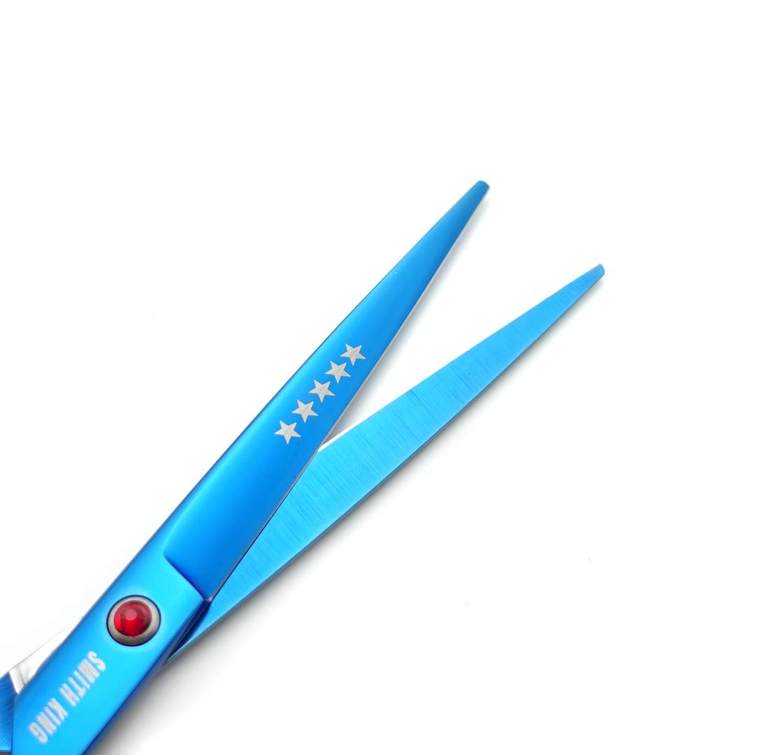 Jeu de ciseaux à cheveux de 7,0 pouces Ciseaux de coupe de cheveux et ciseaux à effiler avec des peignes de rasoir dans 1 ensemble (bleu)