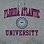 Florida Atlantic Owls - Charcoal Grey