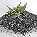 Produktbild 5 L Aktivierte Biokohle, Pflanzenkohle, mit Brennnesseljauche veredelt, Premium Qualität, nachhaltig und umweltschonend in Deutschland hergestellt
