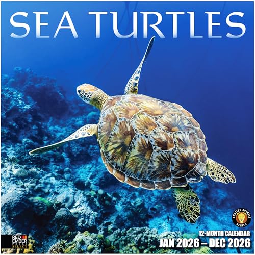 RED EMBER Select - Sea Turtles 2026 Wall Calendar 12 Month | 12" x 24" Open | Thick & Sturdy Paper | Holiday Gift | Animal Calendar 2026