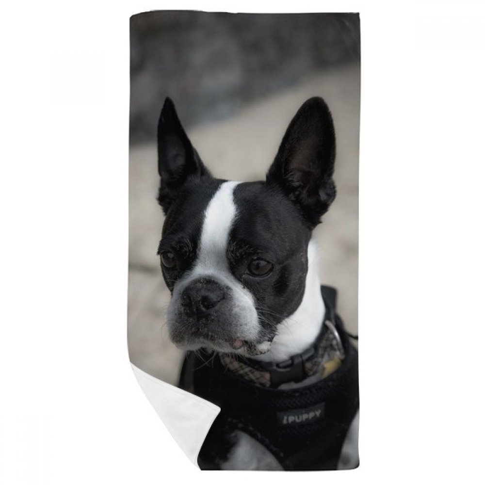 Serviette de bain bouledogue pour apporter de la douceur à votre routine
