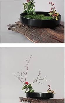 Amazon.co.jp: 生花用の花器 花瓶 鉢 盆栽鉢 プラスチック製 水盤