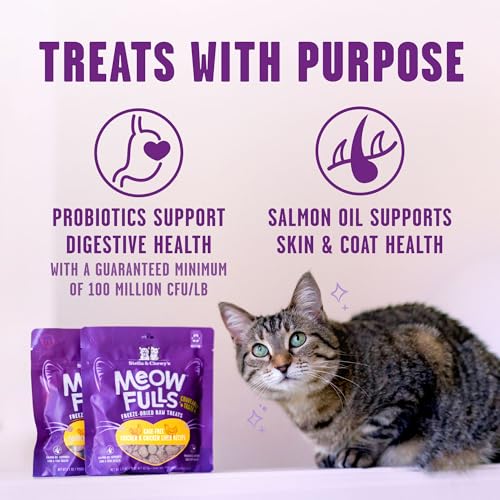 Stella & Chewy's Meowfulls Freeze Dried Cat Treats Chicken & Chicken Liver Recipe, 42.5g Bag image 2