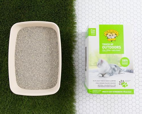 Image of Dr. Elsey's Touch of Outdoors Bentonite Cat Litter, Natural Chlorophyll for Odour Control, Dust-Free, Quick Absorption, Hard Clumping, Reduces Stress, Multi-Cat Friendly - 9.08 kg