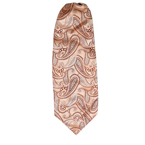 Epoint Pattern Cravat Scarves For Wedding Beige Self Ascot Necktie Formal Wear Mother-In-Laws ERA1B07D Blanchedalmond,Zinnwaldite Brown,Orange Jacquard Woven Silk