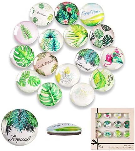 Mienno 16 Pack Greenery Refrigerator Magnets, Crystal Glass Magnets, Greenery Designs Decorative Fridge Magnets, Homewarming Gift, Home Decoration Gift with Gift Packaging Box  (Color Gift Box)