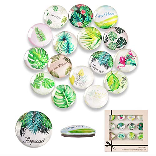 Mienno 16 Pack Greenery Refrigerator Magnets, Crystal Glass Magnets, Greenery Designs Decorative Fridge Magnets, Homewarming Gift, Home Decoration Gift With Gift Packaging Box  (Color Gift Box) #TOP2