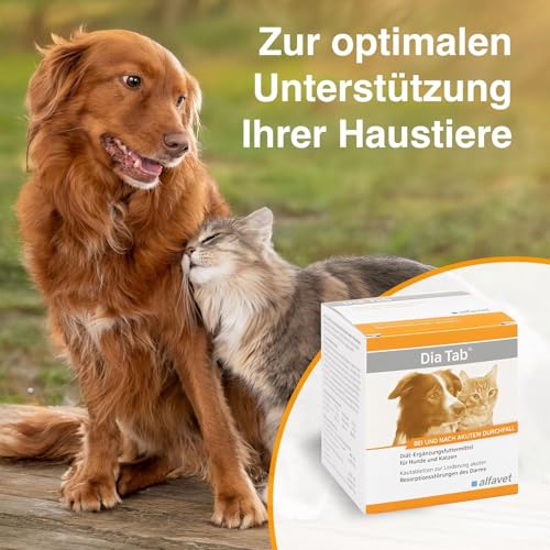 alfavet Dia Tab 20 x 5,5 g – Diät-Ergänzungsfuttermittel für Hunde & Katzen – Mit pflanzlichen Inhaltsstoffen zur Regulierung der Verdauung & Darmflora – Kautabletten mit Präbiotika