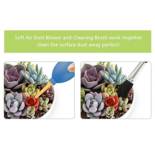Set de 14 herramientas mini para plantas suculentas miniatura 5