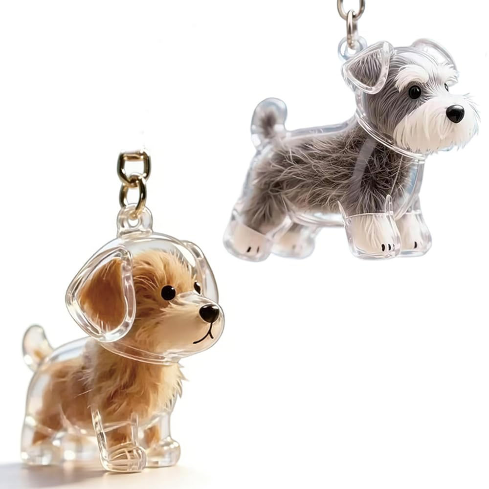 Homelytic Dog Hair Collector Keyring Charm Memorial Storage Box, Pet Cat Dog Hair Storage Keyring, 2 Pieces