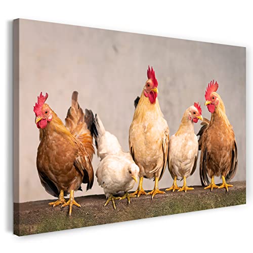 Printistico Impression sur toile (100x70 cm) poules sur la clôture, coq de ferme, couleurs chaudes, photos d'animaux, photographie de nature, cadre en bois...