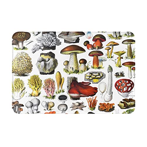 ���փ}�b�g���B���e�[�W���т��̂��̎�ރA�j�������}�b�g�z�������R�ۖh�L�o�X�}�b�g�z������~�ߖh�J�r�������L���o�X���[���L�b�`���l�G���p�J�[�y�b�g40×60cmfd52