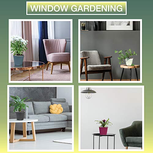Window Garden Aquaphoric Self Watering Planter (7”) + Fiber Soil = Foolproof Indoor Garden. Decorative Planter Pot for House Plants, Flowers, Herbs, Violets, Succulents. Easy Looks Great.