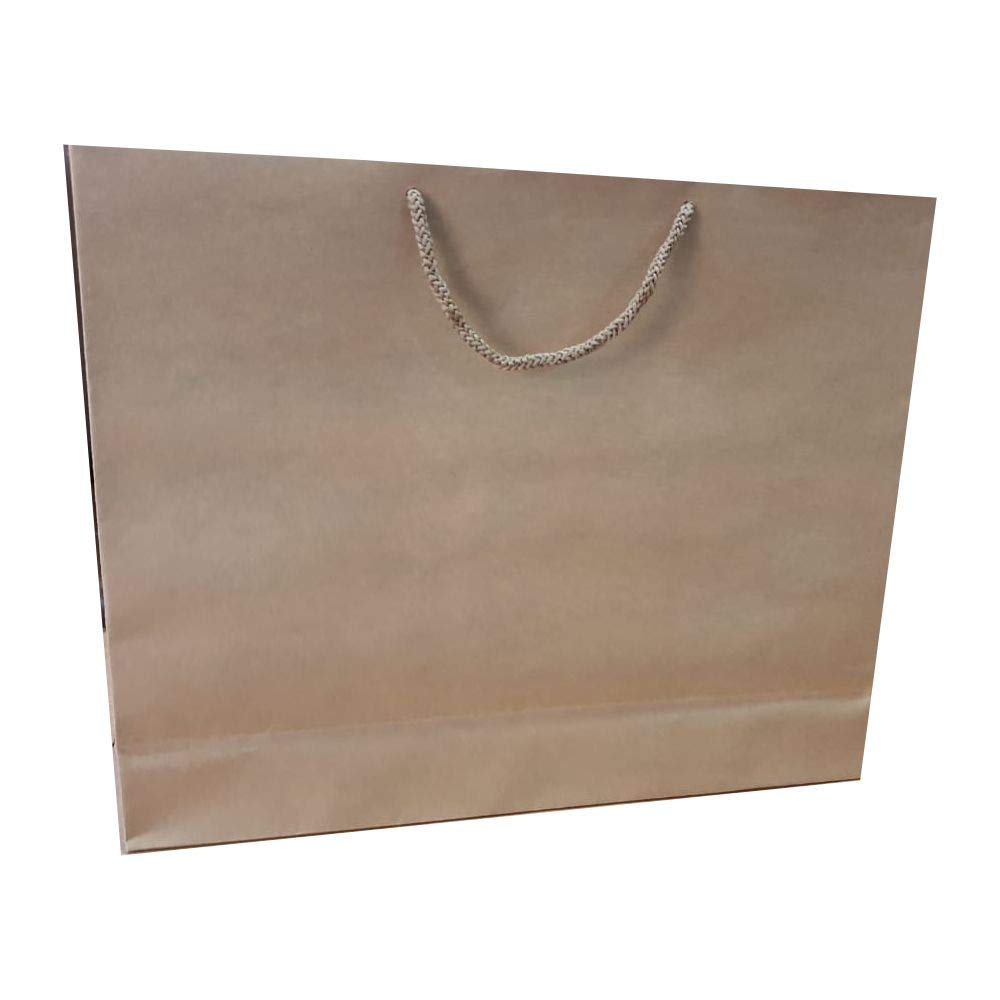 Artemisia-Design Studio by Dewangi Jhaveri Plain Paper Bags (Brown)