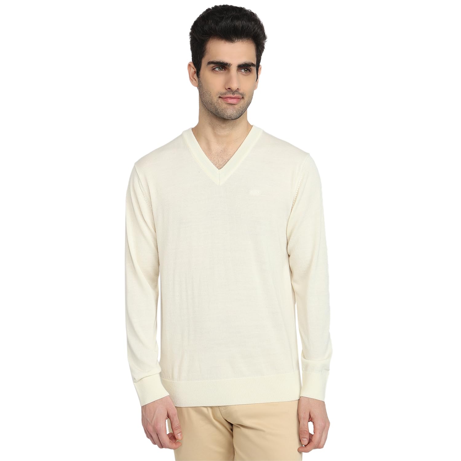 colorplus Men Regular Fit Plain Pattern Marino Wool Acryalic Blend Full Sleeve V Neck Casual Sweater-picture-52
