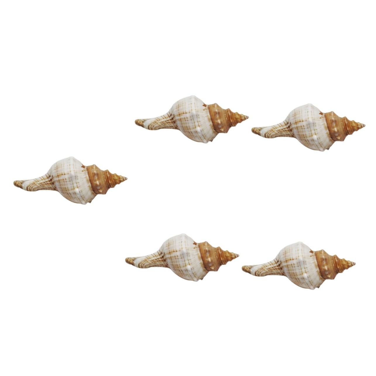 Conchas para acuario naturales Yardwe ideales para simular fondos marinos reales