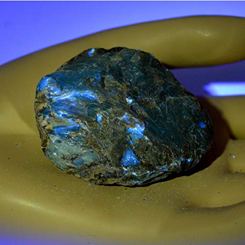 Hqrp Powerful 365Nm 3 Watt Led Flashlight Blacklight For Rocks/Stones Illumination, Uranium Glass/Vaseline Glass Detection #TOP5