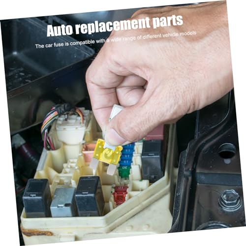 Kit de fusibles automotrices Ciieeo, 20 piezas, caja organizadora para automóvil y camioneta miniatura 5
