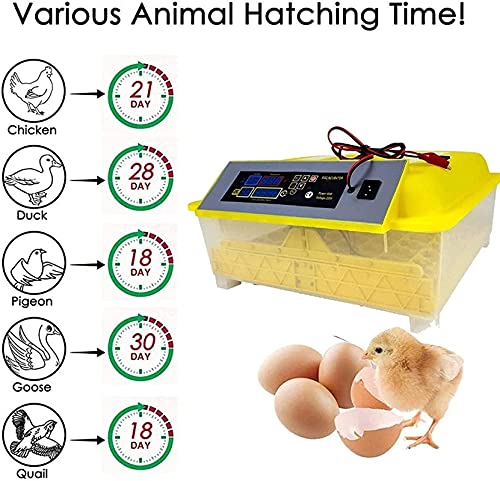 Automatische ei-incubator, 48 eieren geleid hoog-efficiëntie automatische temperatuurregeling, automatische ventilatie… - Afbeelding 4