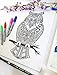 Owl Adult Coloring, Stretched primed canvas to color, Size – 8 x 12 Inches