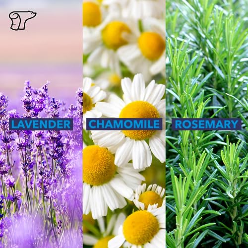 TheraICE Rx Soothing Head Stick 10 ml (.33-Oz) Essential Oil Roll on Aromatherapy: Peppermint, Spearmint, Lavender, Chamomile, Rosemary, Eucalyptus. Metal Roller. USA Made - Image 6