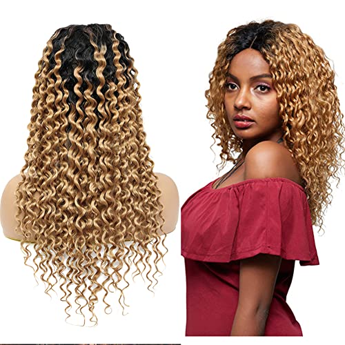 Ombre 1b/27 Human Hair Lace Closure Wig Two Tone Lace Front Wigs HD Lace Closure Wig Human Hair T Part Water Wave 4x4x1 Glueless Lace Frontal Wigs Pre Plucked Bleached Knots 12 Inch