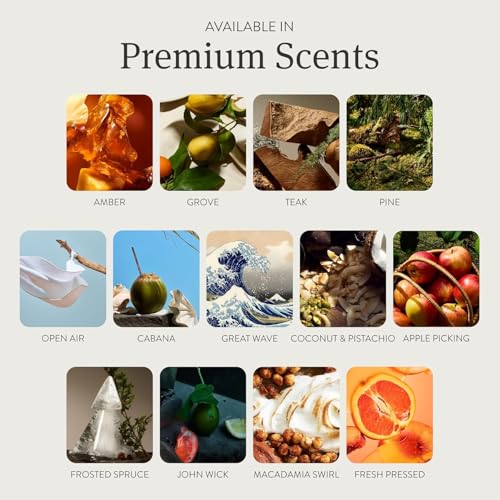Image of Drift Car Air Freshener - The Original Stone Air Freshener - Car Odor Eliminator - Long Lasting Scent - Metal Clip - Essential Oils - Clean Ingredients - Summer Sunset Scent Starter Kit