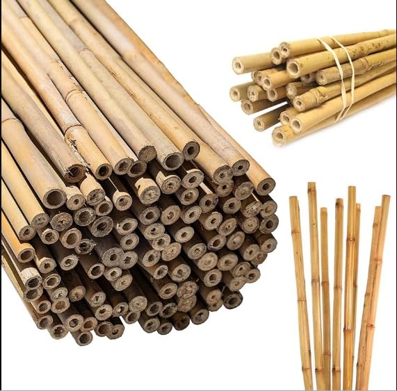 bamboo wooden stick sticks for plants support 6 feet 6 ft 6 foot 72 inch 10 pc