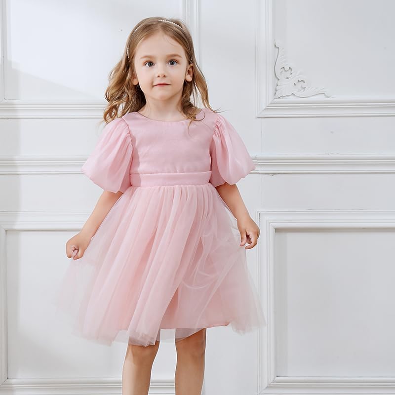Toddler Girls Tutu Dress Puff Sleeve Backless Twirly Flared Birthday Party Princess Flower Girl Dresses - Image 2