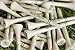 Bird Darts Premium Bamboo Wood Golf Tees, 18/72/180 Units (Packs of 18), 2 ¾ Golf Tees in Cigarette-Style Packaging, Durable, Biodegradable, Golf Tees Wood for Stylish Golfers (180 Units (Pack of 10))