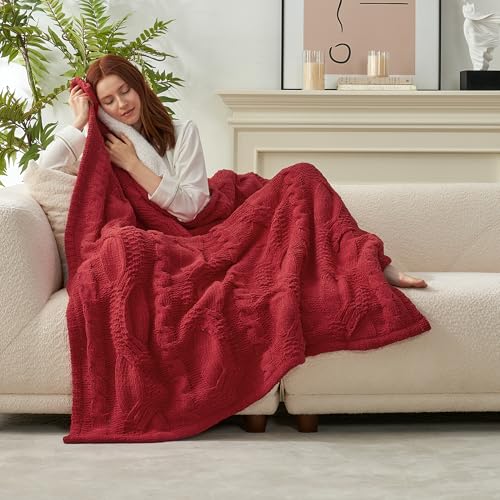 Amelie-Home-Chenille-Christmas-Sherpa-Cable-Knit-Throw-Blanket-for-Couch-Reversible-Soft-Cozy-Warm-Winter-Fleece-Throw-Blankets-for-Bed-Sofa-Chair-Living-Room-Xmas-Home-DecorRed50-x-60-inch Amelie Home Chenille Christmas Sherpa Cable Knit Throw Blanket for Couch Reversible Soft Cozy Warm Winter Fleece Throw Blankets for Bed Sofa Chair Living Room Xmas Home DecorRed50 x 60 inch