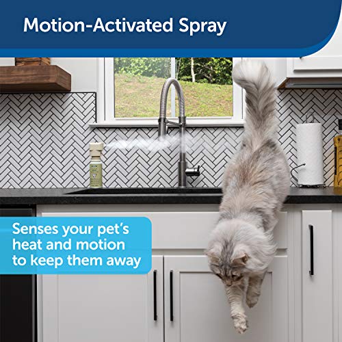 PetSafe SSSCAT Spray Pet Deterrent, Motion Activated Pet Proofing Repellent for Cats and Dogs, Environmentally Friendly