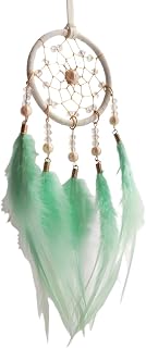 Hemasa Atrapasueños de plumas tejidas a mano para regalo del día de San Valentín, decoración del hogar, color verde