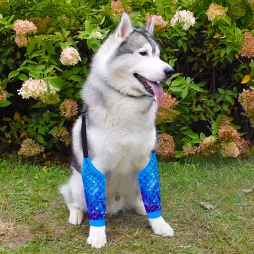 Image of Dog Elbow Wraps Knee Protector Pads Elbow Callus Treatment Sleeve for Wounds Front Legs Prevent Licking for Medium Large Dogs 2XL, Mermaid