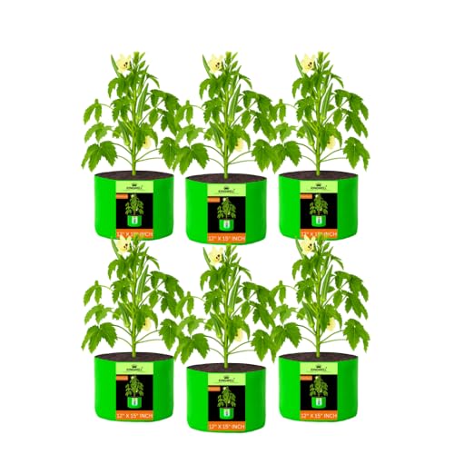 Image of Kingwell grow bags 12x15 inch pack of 6 For Terrace Garden Vegetable Plant Grow Bags Fruits Growing Containers For terrece Gardening
