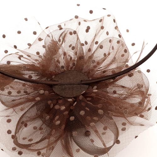 Image of DRESHOW Fascinators Hat Flower Mesh Ribbons Feathers on a Headband and a Clip Tea Party Headwear for Girls and Women