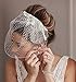 Heread 1920s Lace Bride Wedding Birdcage Veil White Flower Bridal Headpiece Accessories with Comb for Women and Girls