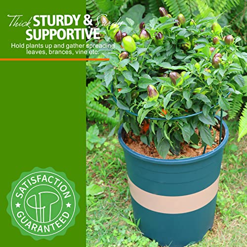 Leobro 4 Pack Plant Support Stake, Metal Garden Plant Stakes, Peony Support, Tomato Cage, Half Round Plant Support Ring Cage, Plant Support For Tomato, Rose, Vine, Indoor Plants (9.8" W X 15.7" H) #TOP5