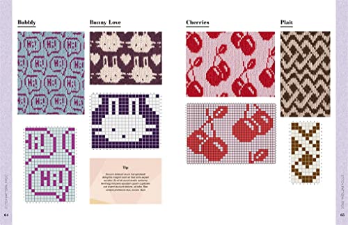 The Hooktionary: A crochet dictionary of 150 modern tapestry crochet motifs - Image 4