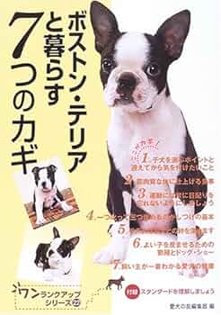 ボストンテリア 51SZXB9ZWRL._AC_UF350,