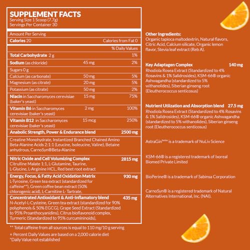 Image of EnergyFirst Prefuel Vegan Pre-Workout Powder, Zero Sugar, All-Natural Energizer with Immune Support Orange Flavor, 30 Servings for Maximum Workout Performance